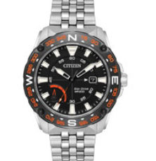 Citizen Watches